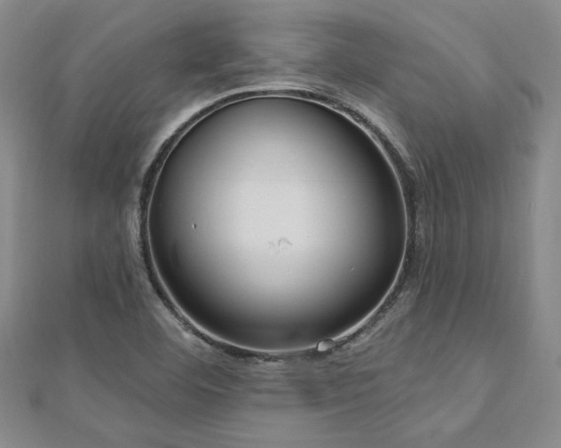 X0000113131460200909041137