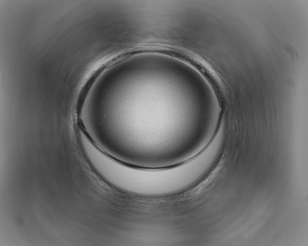 X0000113131461200909041137