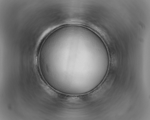 X0000113131462200909041137