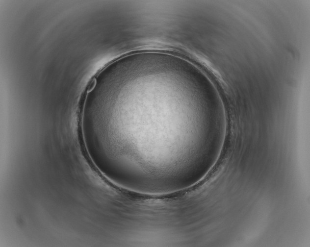 X0000113131463200909041137