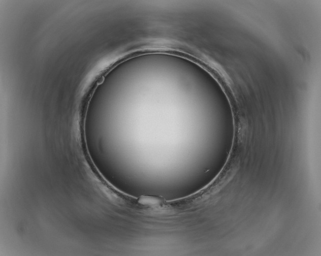 X0000113131464200909041137