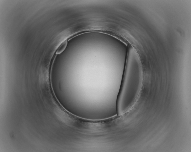 X0000113131465200909041137