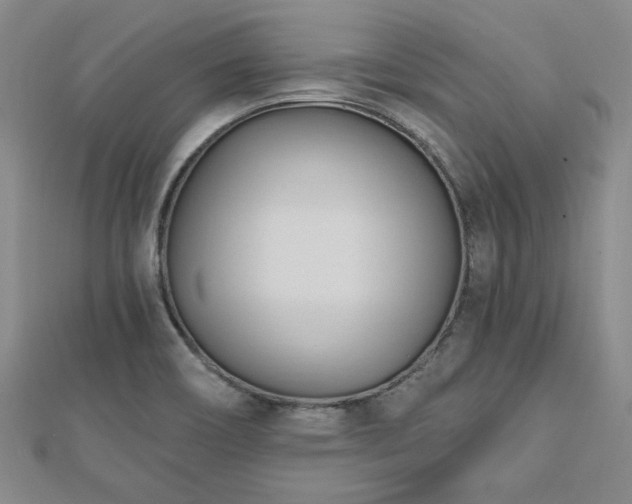 X0000113131466200909041137