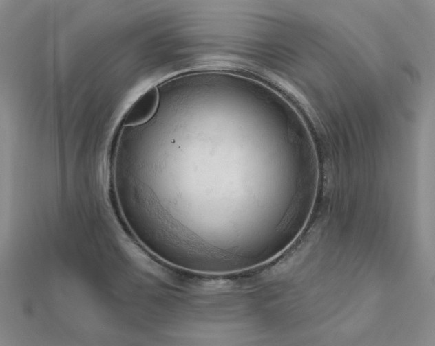 X0000113131467200909041137