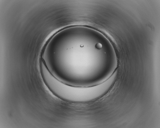 X0000113131468200909041137