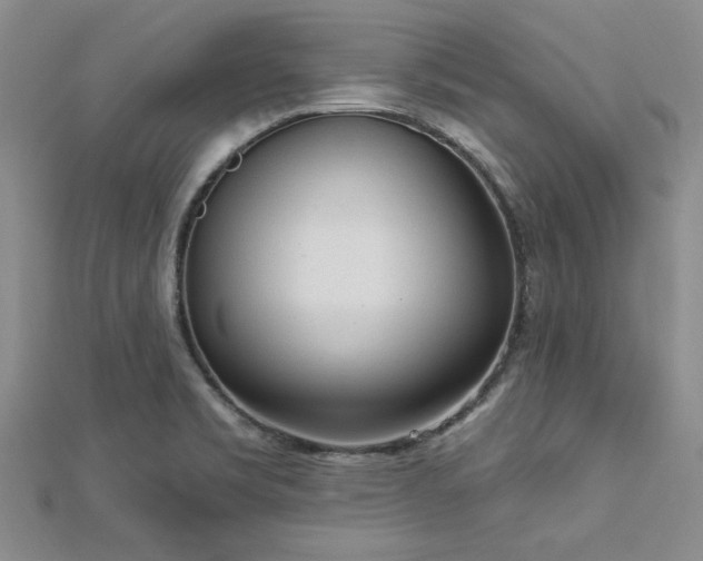 X0000113131469200909041137