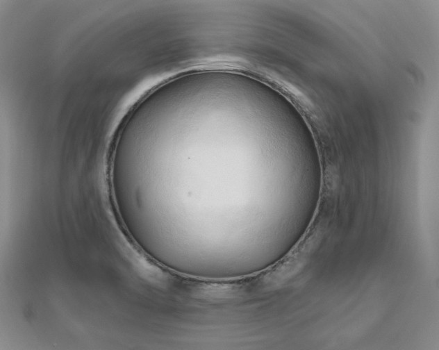 X0000113131470200909041137