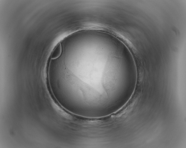 X0000113131471200909041137