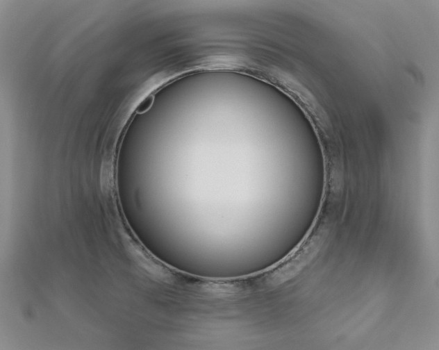 X0000113131473200909041137