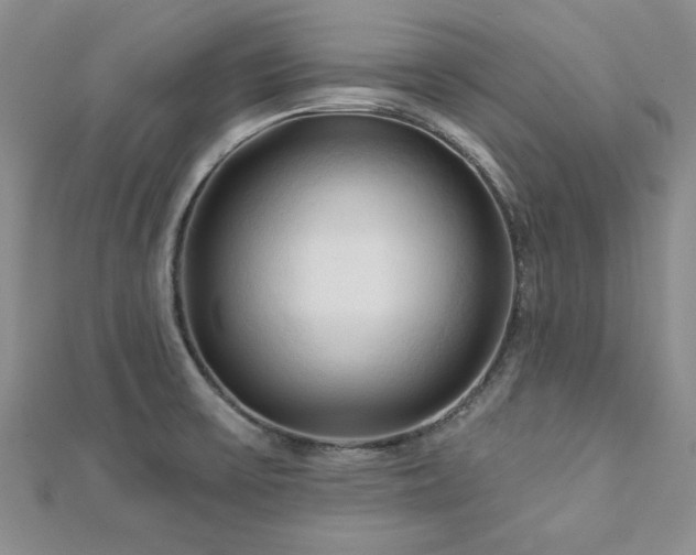 X0000113131475200909041137