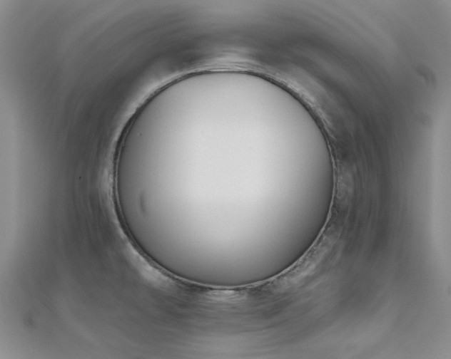 X0000113131478200909041137