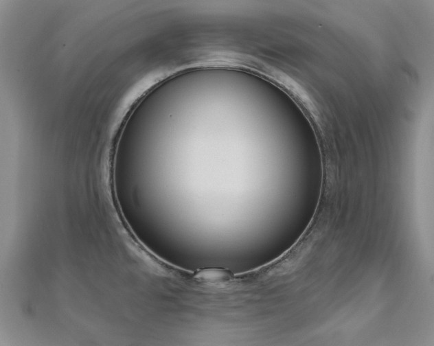 X0000113131480200909041137