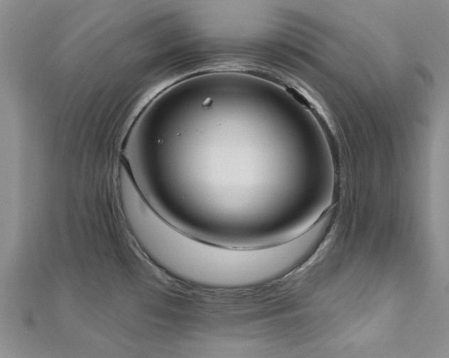 X0000113131481200909041137