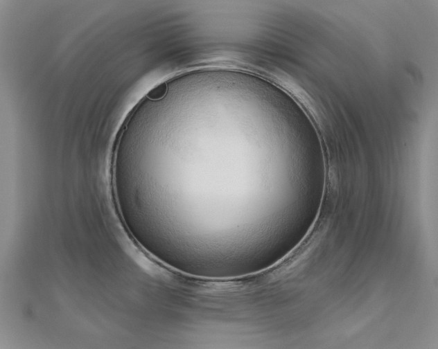 X0000113131482200909041137