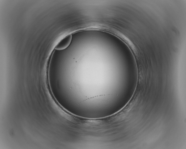 X0000113131483200909041137