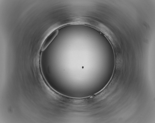 X0000113131484200909041137