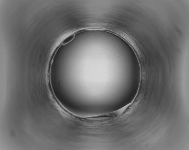 X0000113131485200909041137
