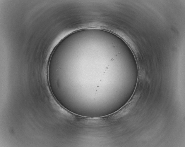 X0000113131486200909041137