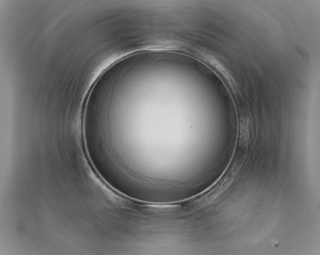 X0000113131487200909041137