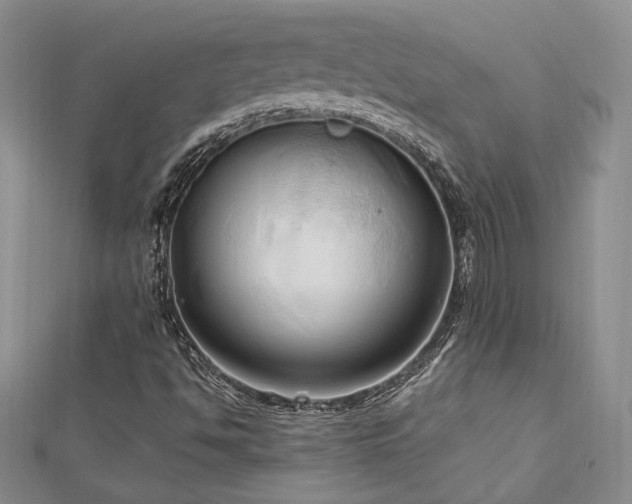 X0000113131494200909041136