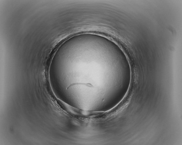 X0000113131497200909041136