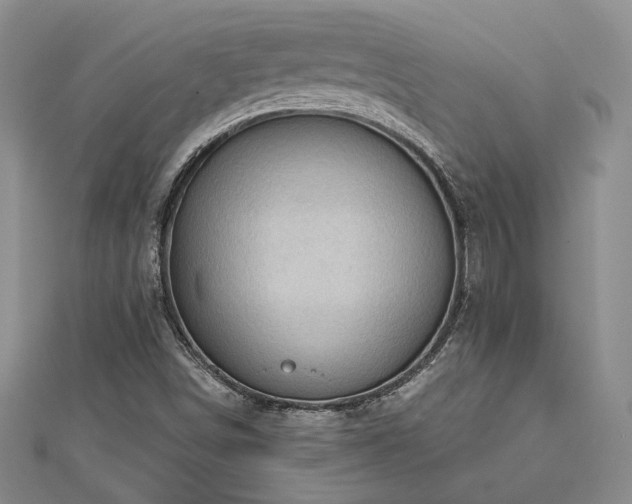 X0000113131498200909041136