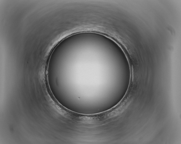 X0000113131500200909041136