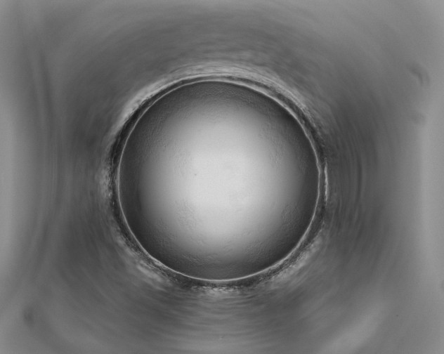 X0000113131501200909041136
