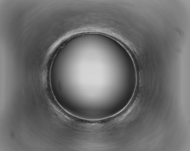 X0000113131502200909041136