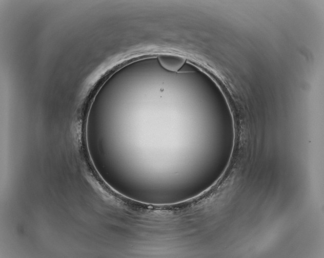 X0000113131503200909041136