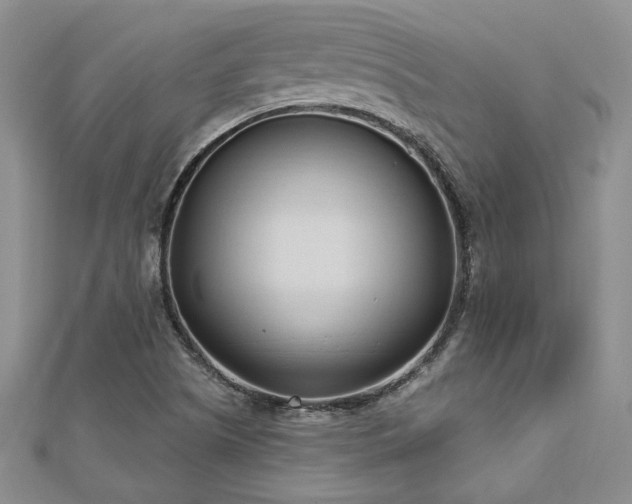 X0000113131505200909041136