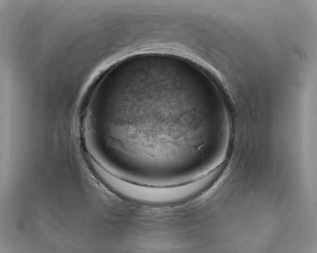 X0000113131506200909041136