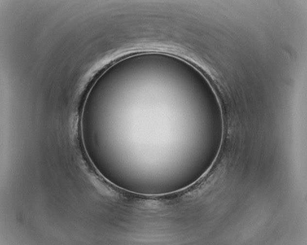 X0000113131507200909041136