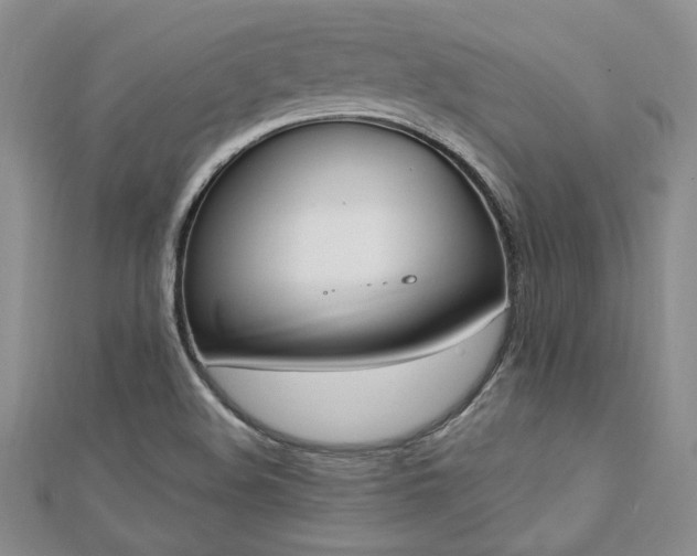 X0000113131508200909041137