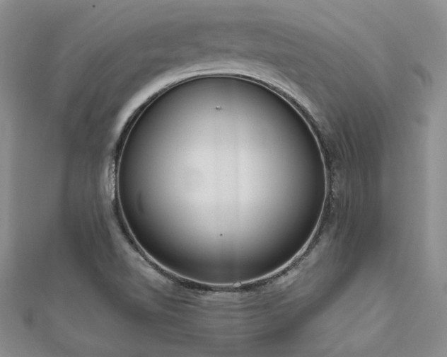 X0000113131510200909041137