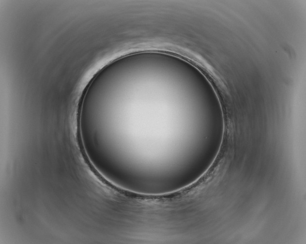 X0000113131512200909041137
