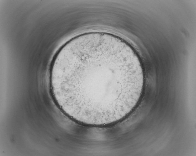 X0000113131514200909041137