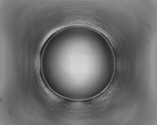 X0000113131515200909041137