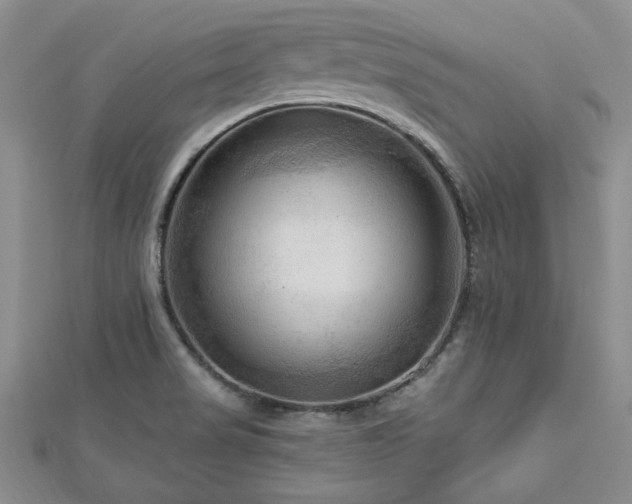 X0000113131517200909041137