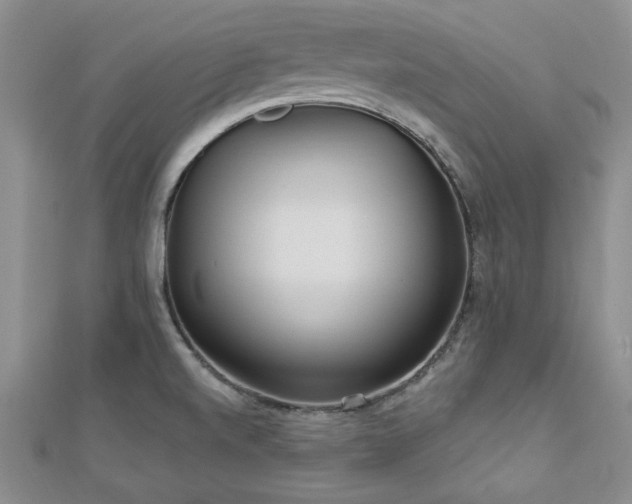 X0000113131520200909041137