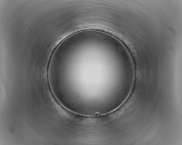 X0000113131521200909041137