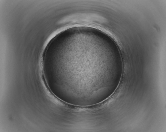 X0000113131522200909041137