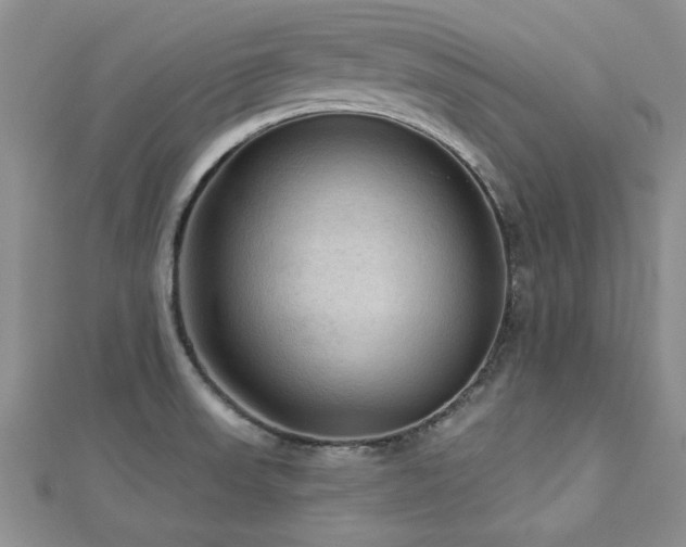 X0000113131523200909041137