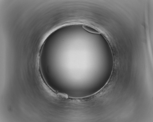 X0000113131524200909041137