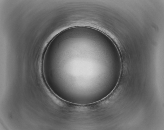 X0000113131525200909041137