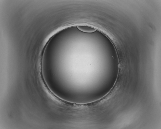 X0000113131526200909041137