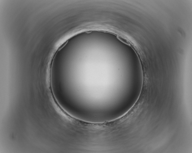 X0000113131528200909041137