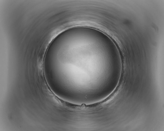 X0000113131529200909041137