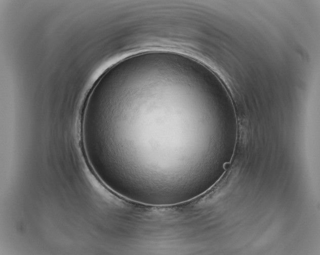 X0000113131531200909041137