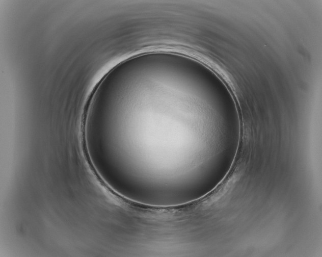 X0000113131533200909041137